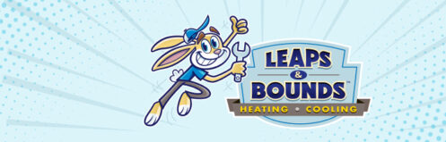 leaps and bounds rabbit mascot and logo